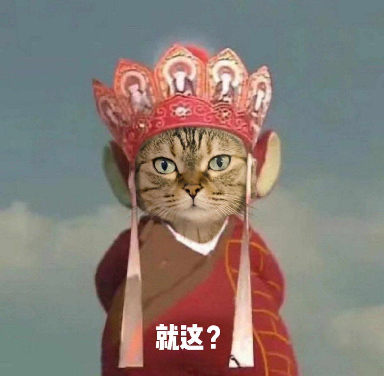 西游记唐僧表情包来惹🥱 一本正经的小猫咪没错啦
