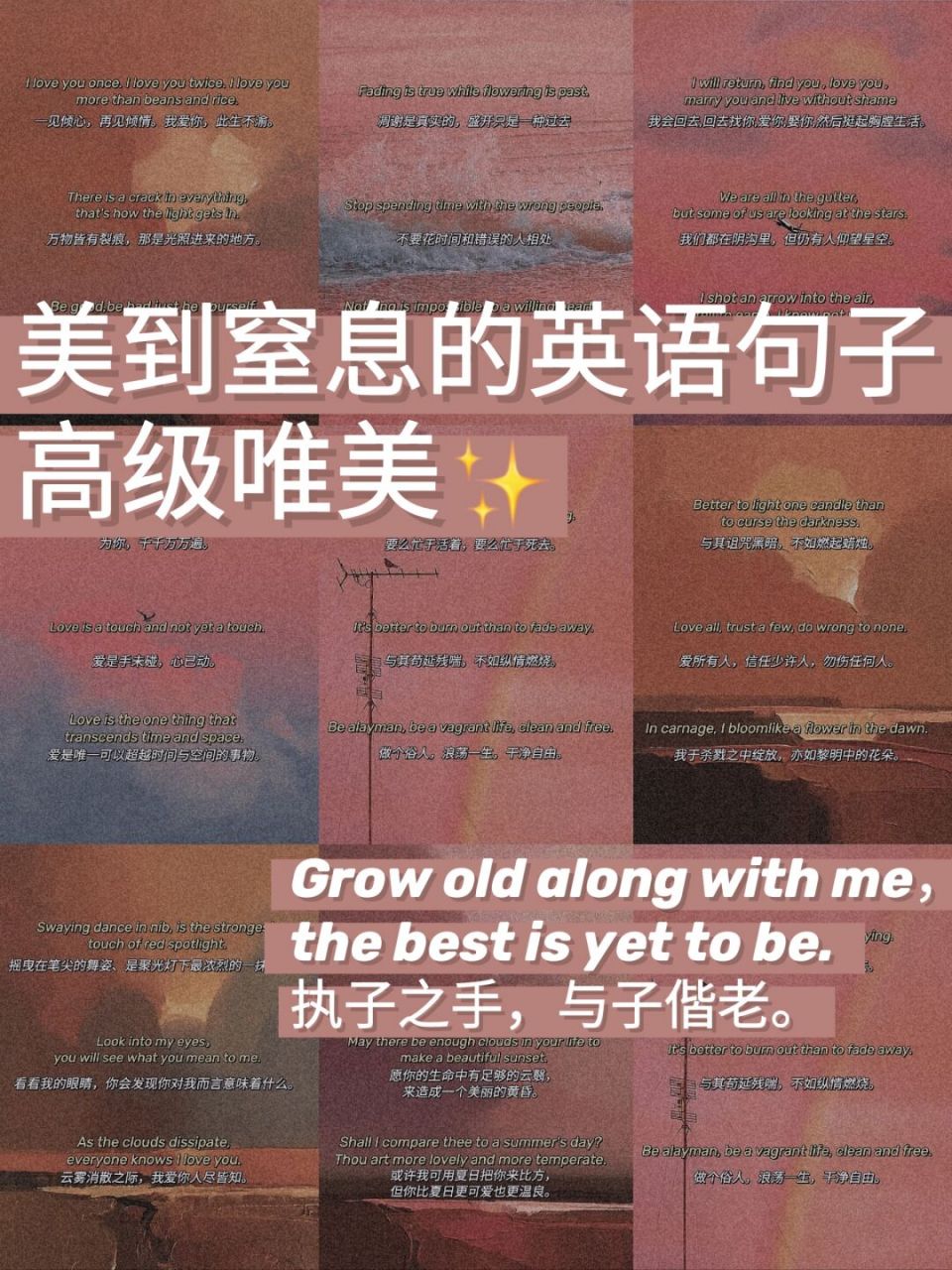 高级浪漫的英语翻译句子97满分文案 #浪漫生活的记录者# in carnage