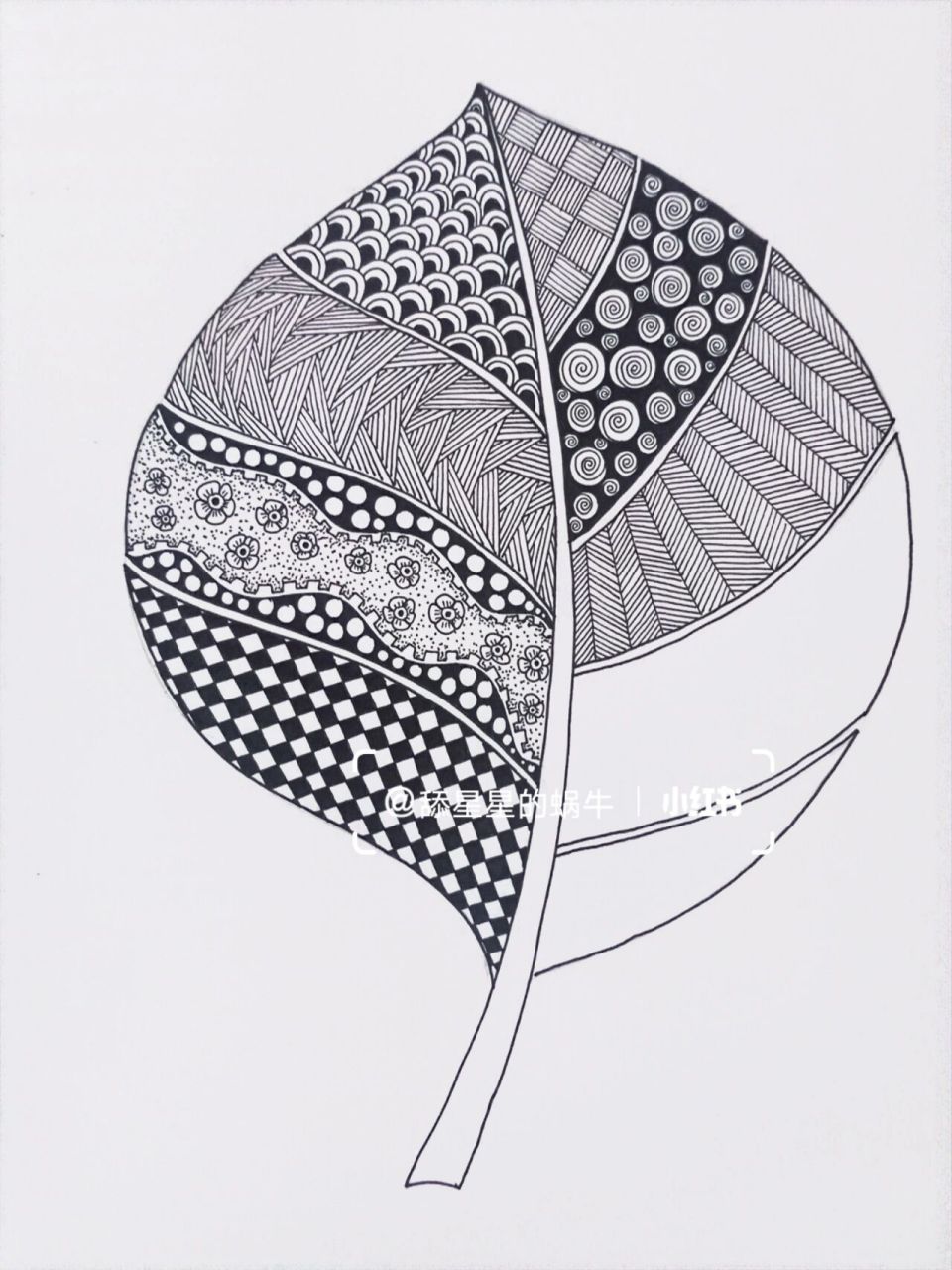 线描创作‖原创黑白线描画《叶子》图文版 一片叶,两片叶,片片叶,将你