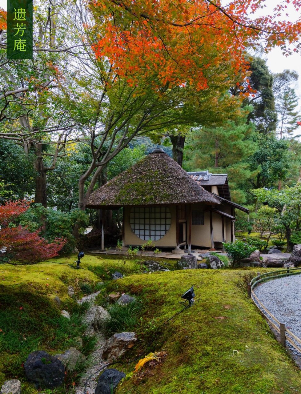 京都京都府高台寺图片