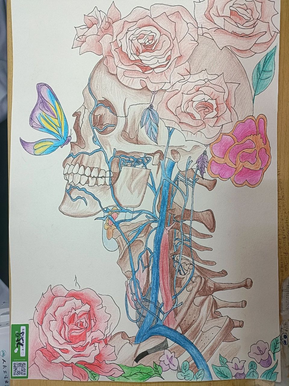 人体解剖绘图大赛|古风国风创意绘画 原图来自小红94上另一个小姐姐