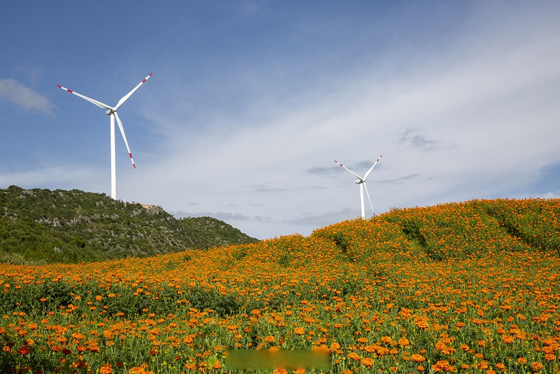 3万千瓦的国内规模最大高原山地风电基地建成,其中锦屏西项目86万千瓦