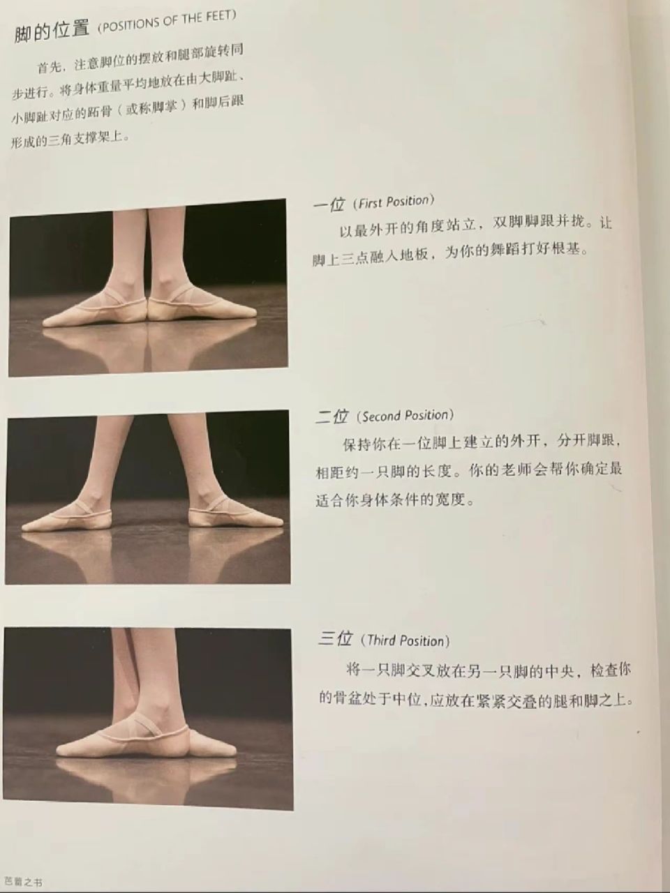 干货|科普芭蕾五大基本脚位&脚踝位 脚位: 脚位: 一位(1stposition)
