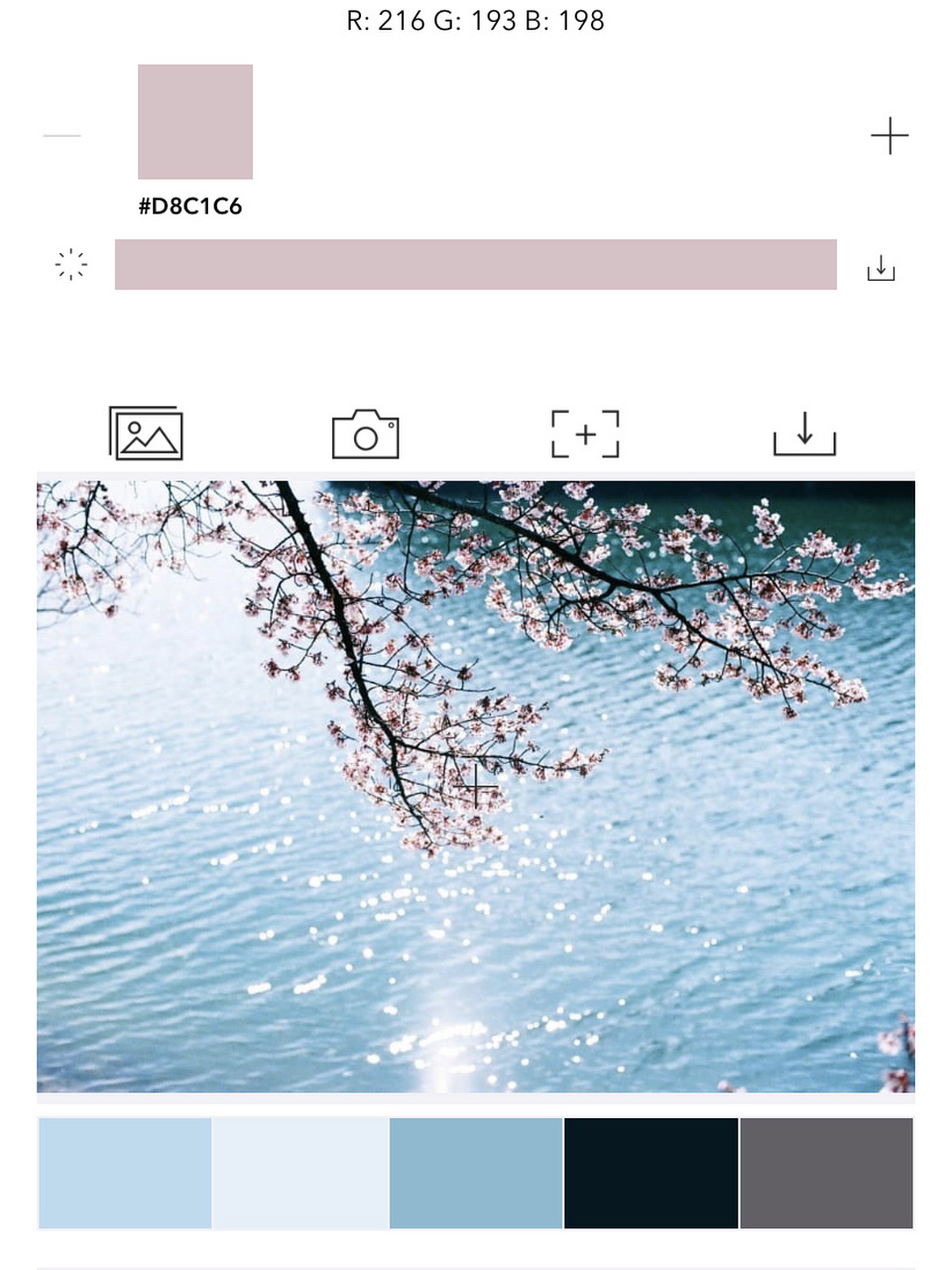 手机摄影app推荐③私藏·实用工具篇 kandidate - 最近发现的宝藏app