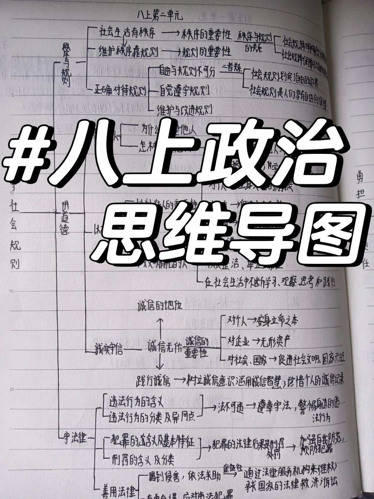 八上政治思维导图