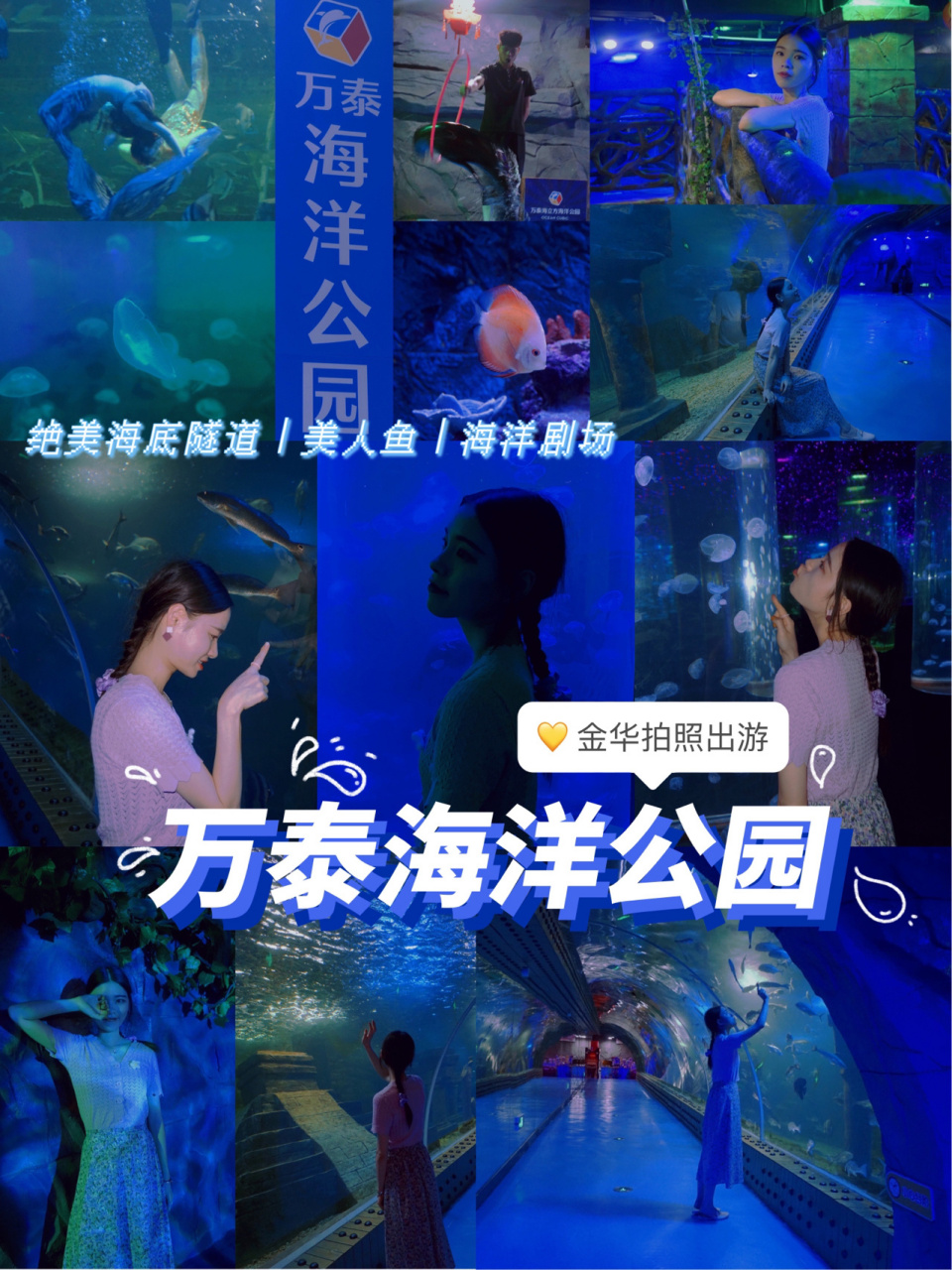金华出游拍照|万泰海洋公园98 发现一个拍照圣地,非常出片,也很适合