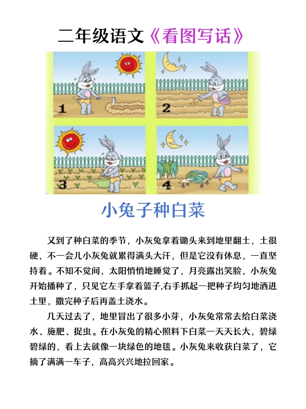 小兔子种萝卜的故事图片