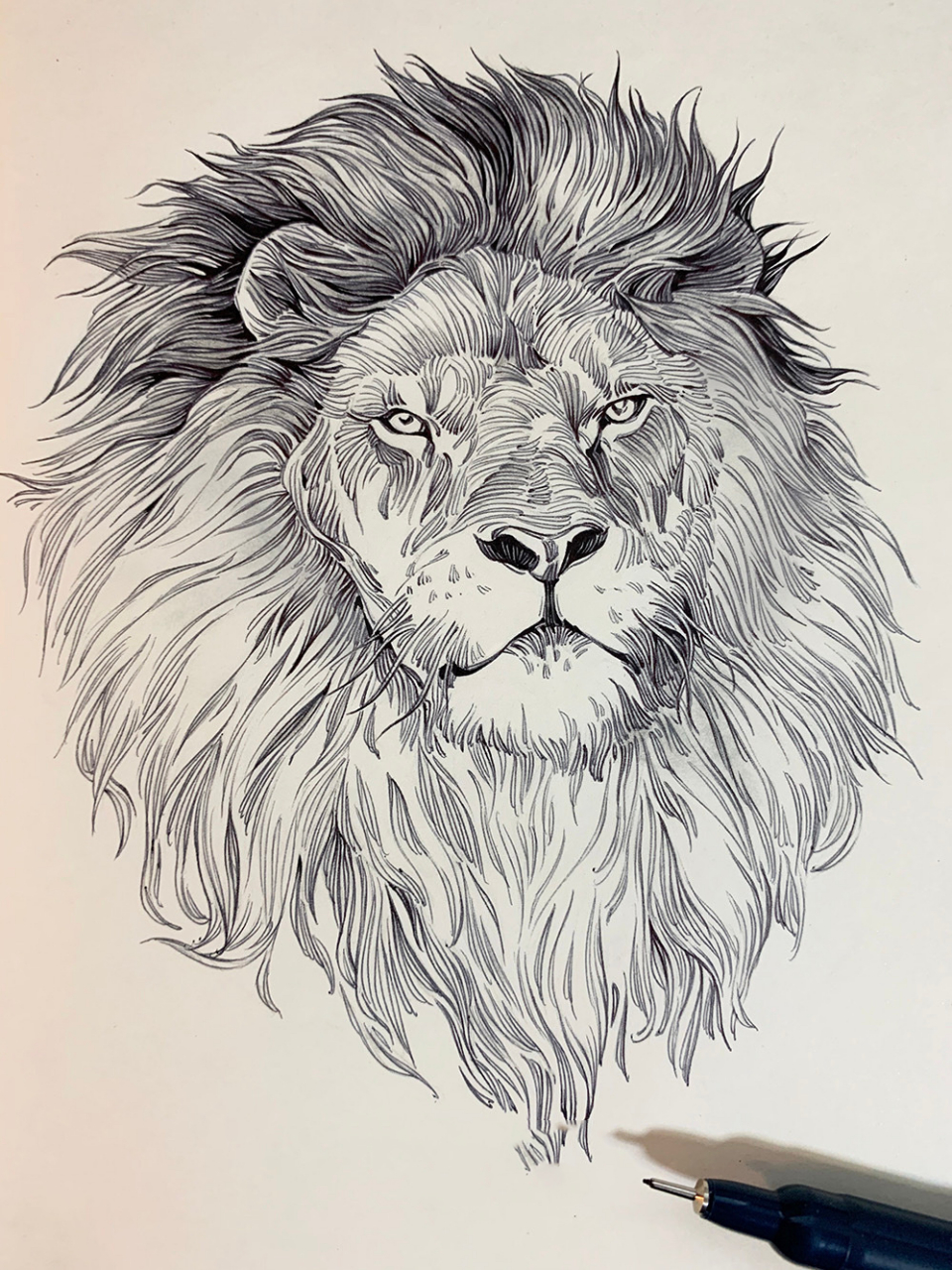 线条技巧|一支中性笔就能学会的动物绘画 👀 一支中性笔就能搞定的