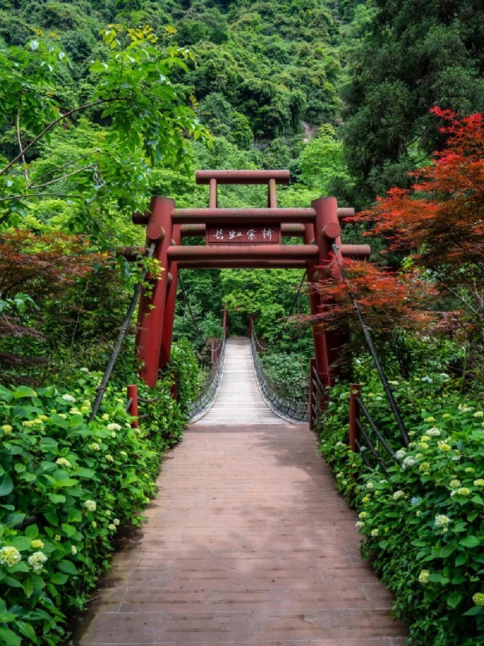 邛崃天台山旅游风景区图片