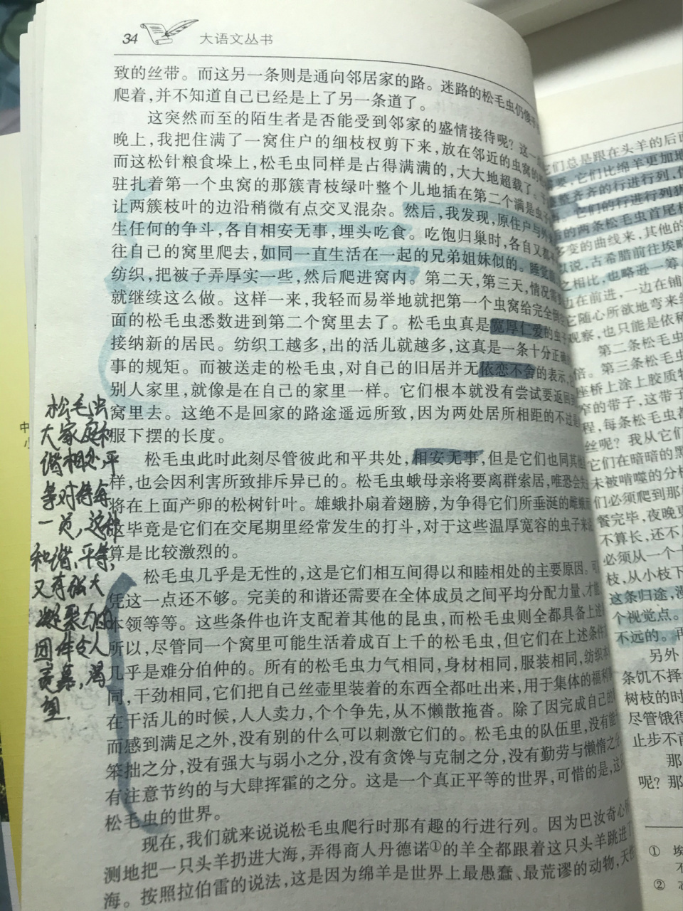 《昆虫记》舒氏西绪福斯蜣螂与蜣螂父亲之本 能 前面还有松毛虫的哦