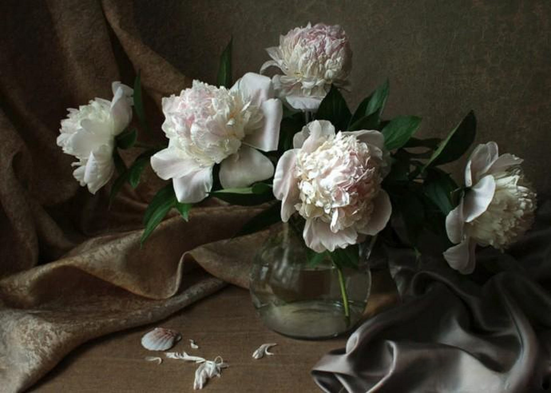 【花卉主题静物摄影作品】 摄影师:elena kolesneva