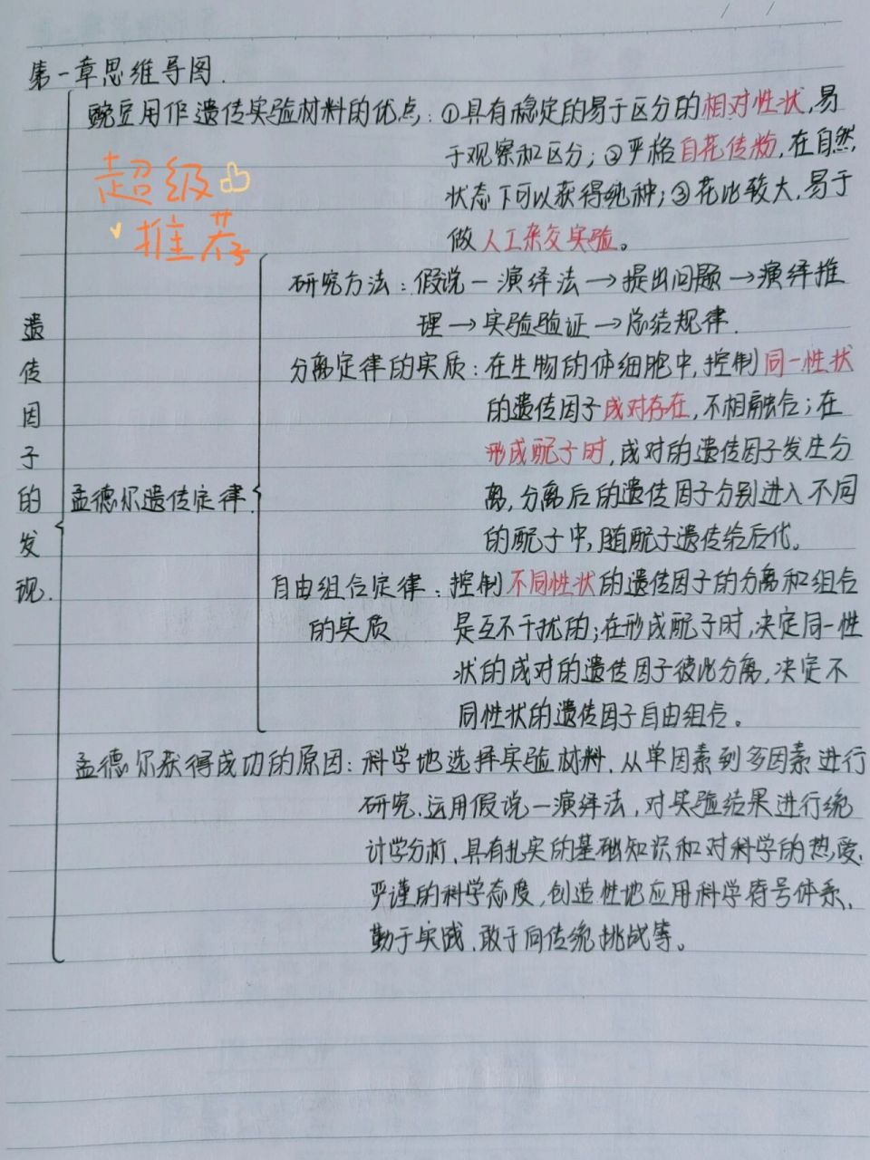 高一必修二生物1到6章思维导图 宝子们,我又来啦,多日不见,甚是想念啊