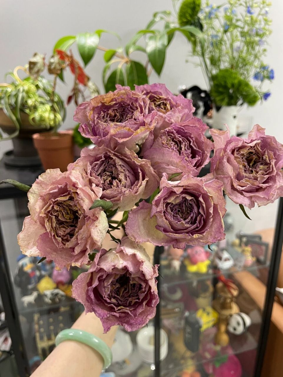 洛神玫瑰94做成干花非常复古99 鲜花里玫瑰最适合做成干花 洛神从