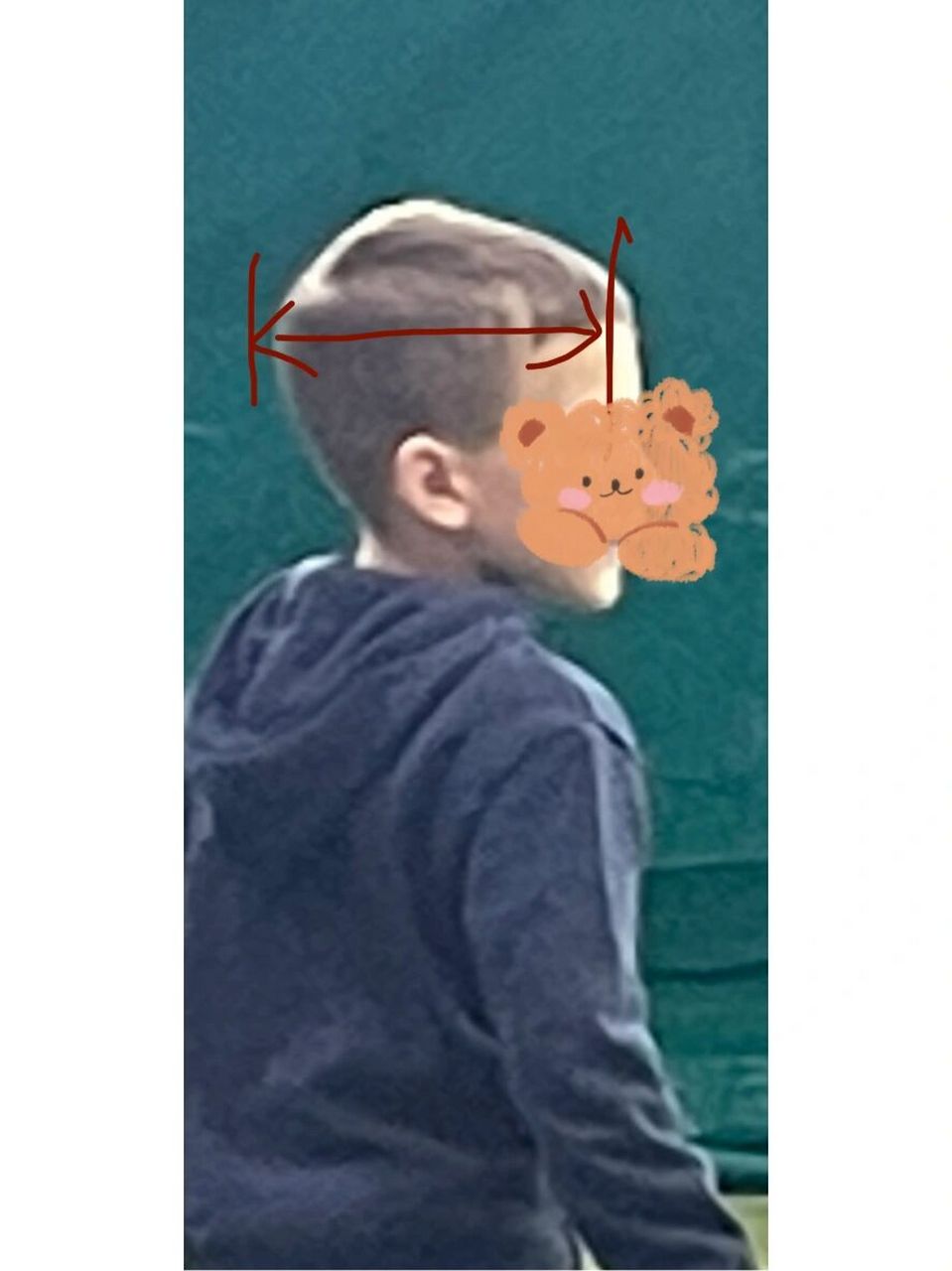 中西方人种的骨相差异在于,西方人的头骨纵深更长.