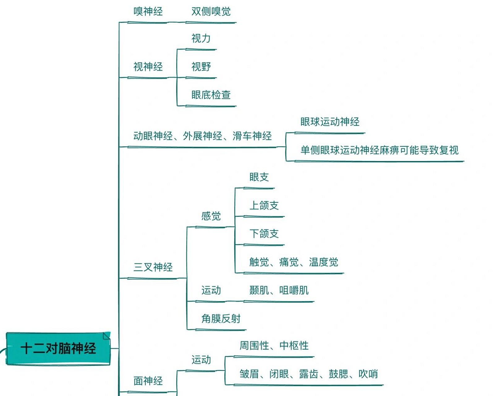 颅神经查体图片