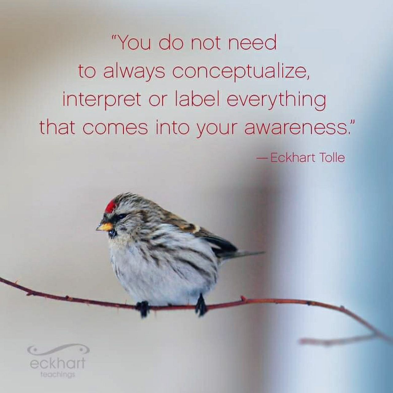 presently 感恩每一天 自從參加了misp(mindfuless in schools