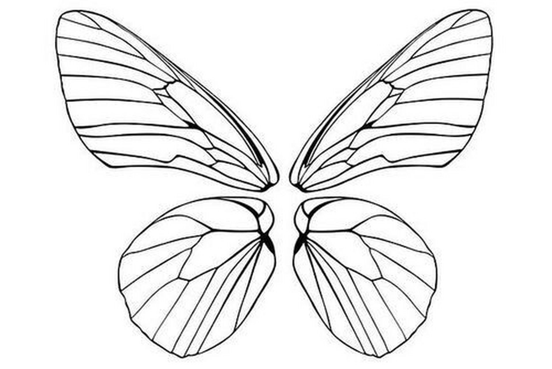 你们要的蝴蝶翅膀图纸来啦 忘了在哪里保存的图片了,喜欢可以收藏