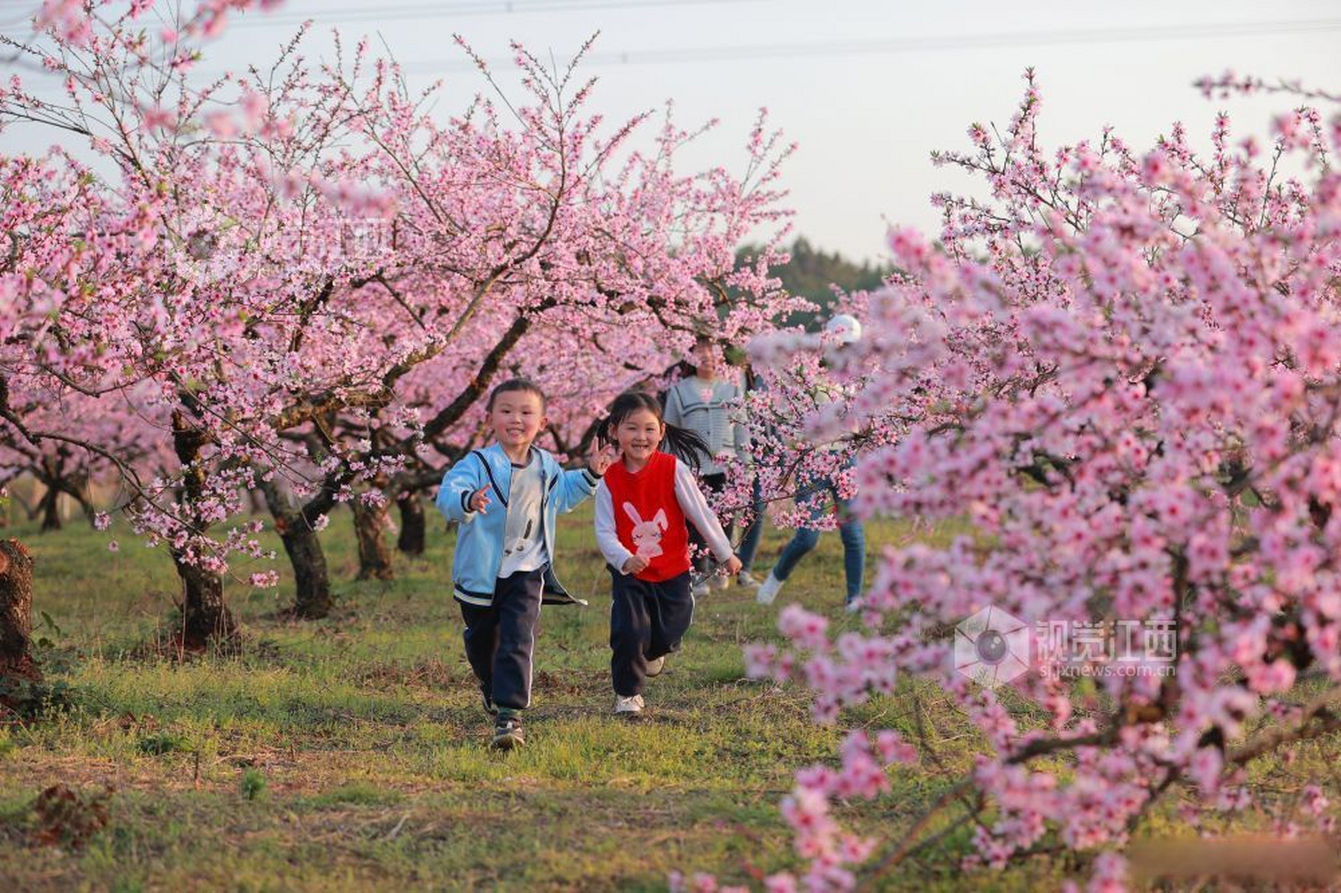 丰城铁路桃花谷照片图片