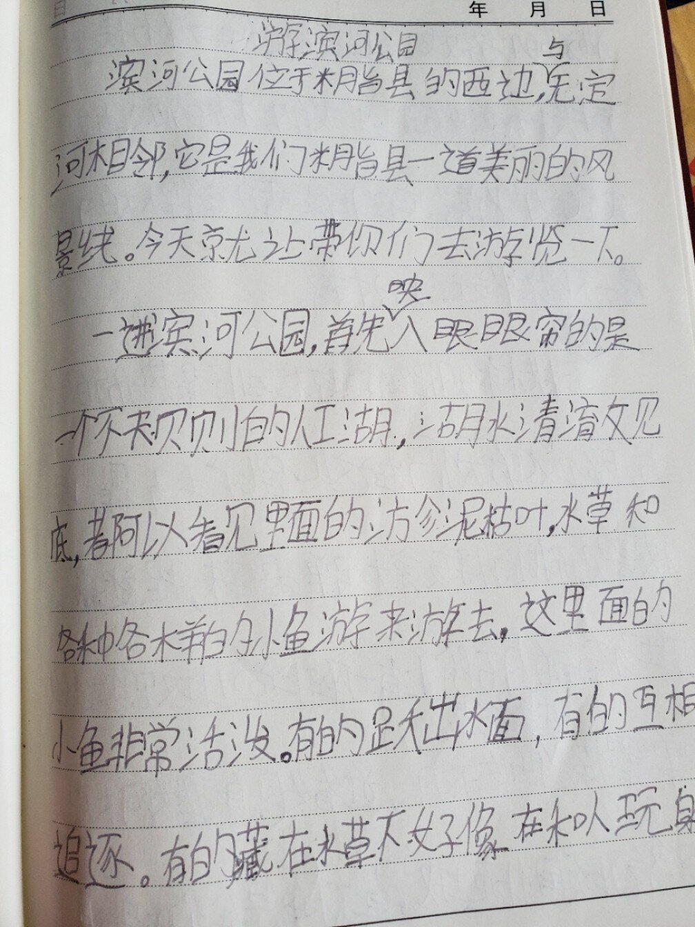 奎屯西公园介绍450字图片