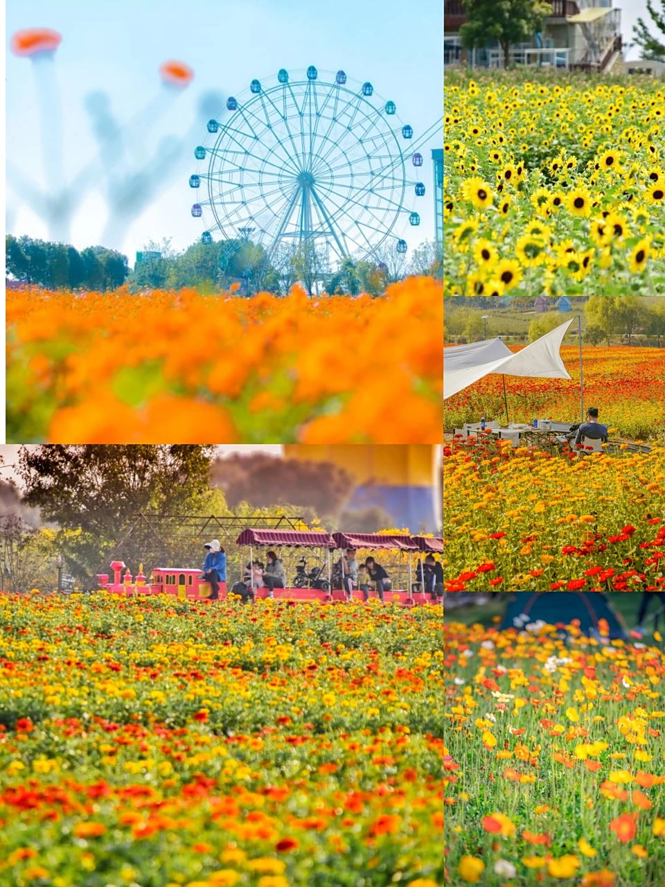 武汉团建|武汉花博汇|烟花秀 景区介绍 地址:武汉市蔡甸区天星村1号