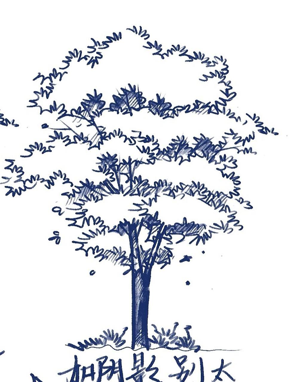 【内附步骤图】 画树重要的是 99树形:饱满蓬松(所以要尽量画得圆鼓