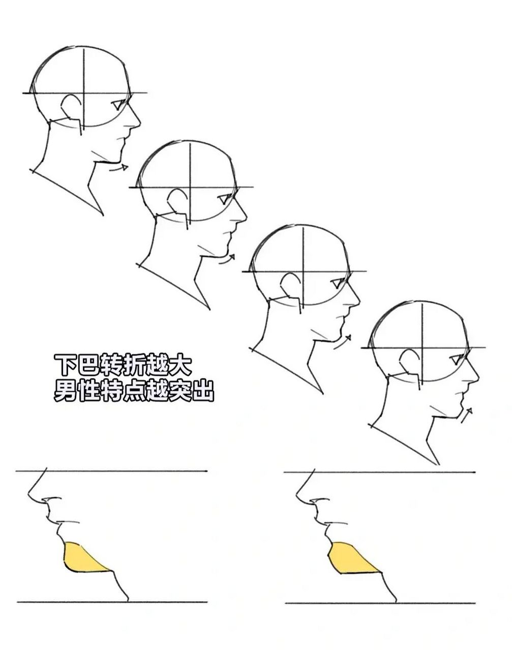 零基础学画画|男女侧脸对比