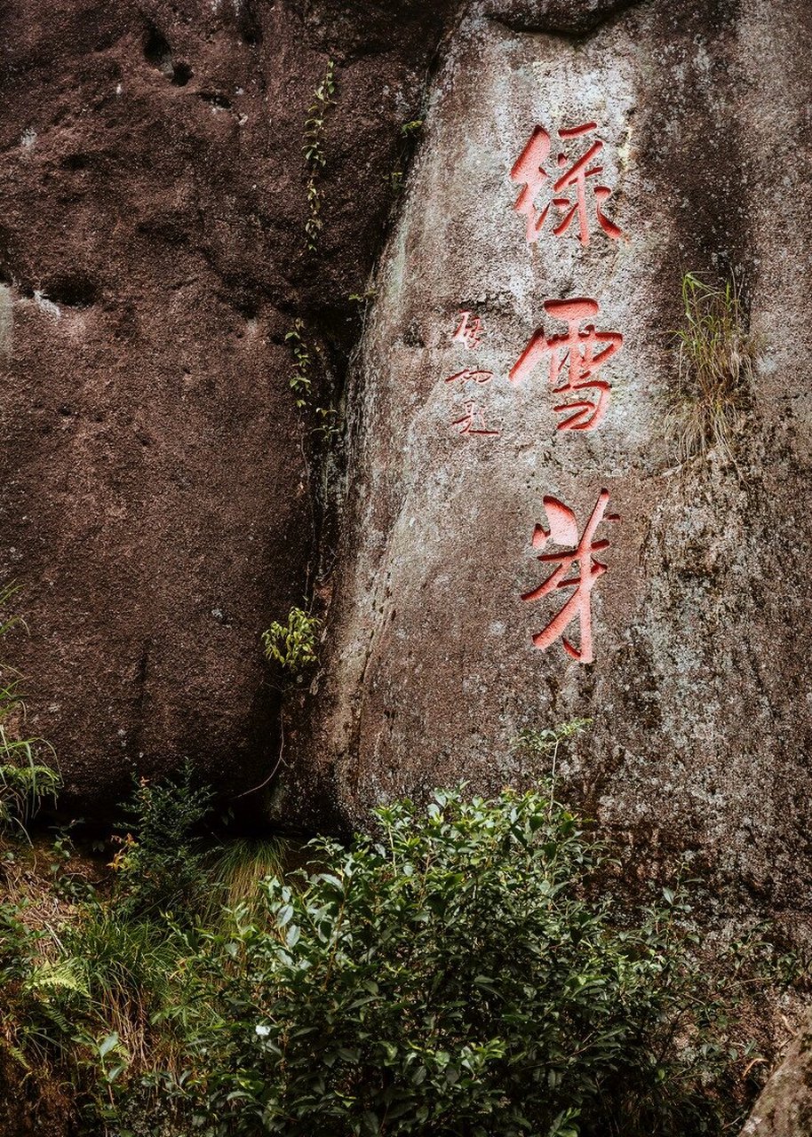 太姥山仙人锯板图片