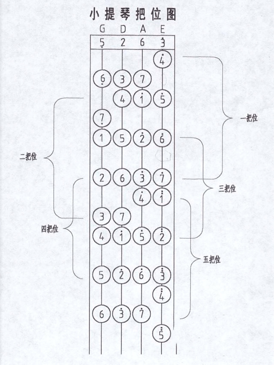 小提琴最全低把位音图 弟弟本周进入换把学习,老师用"示范:一到三把位