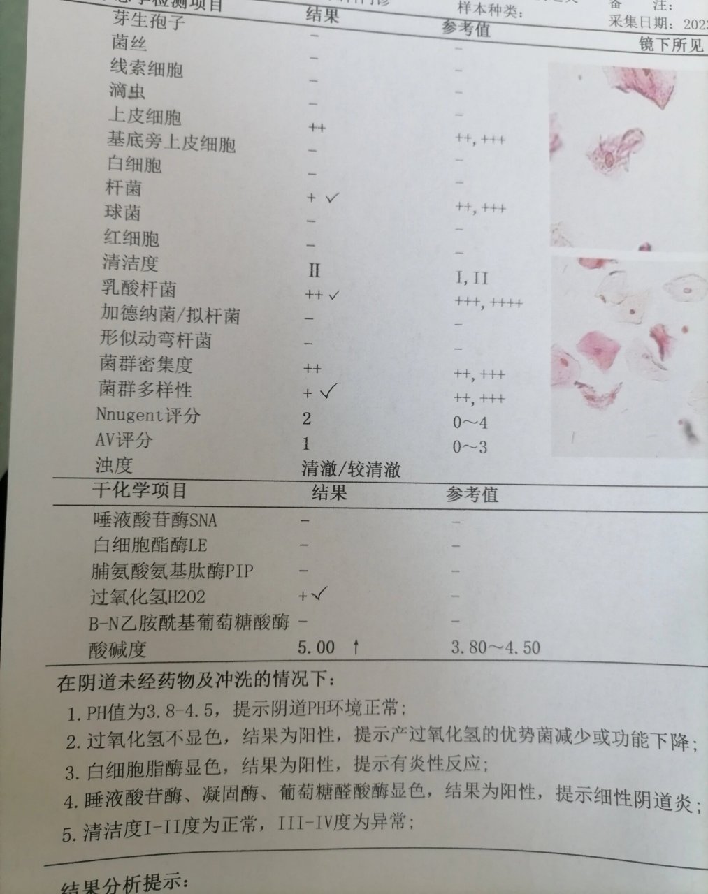 求助孕15周过氧化氢阳性.