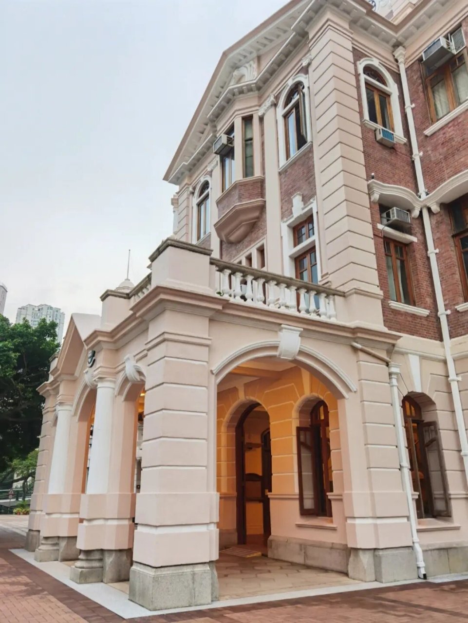 香港大学