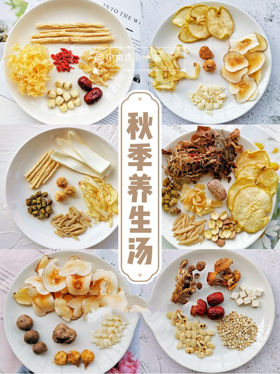 儿童秋季养生汤 ‖滋润祛燥 润肺下火 大家好,我是小贞贞,给大家分享