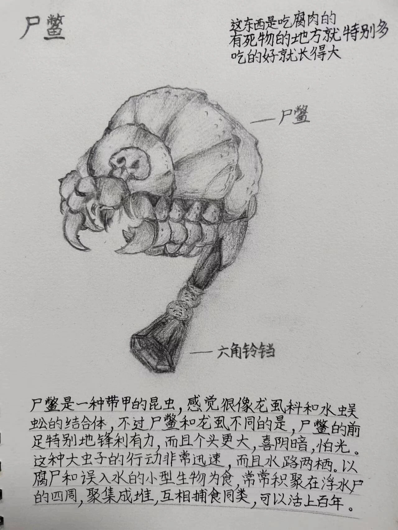 《盗墓笔记》尸鳖