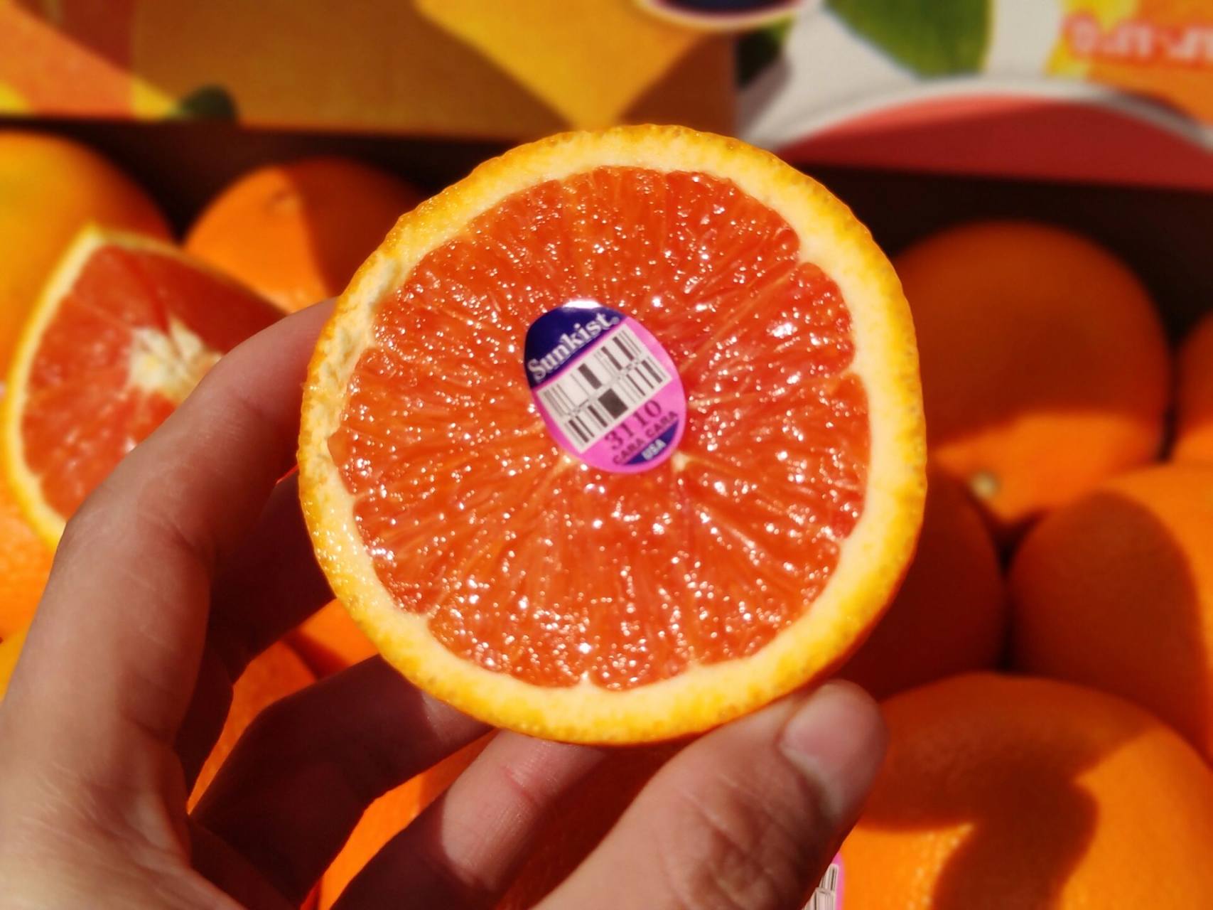 09新奇士3110血橙新产季开启!