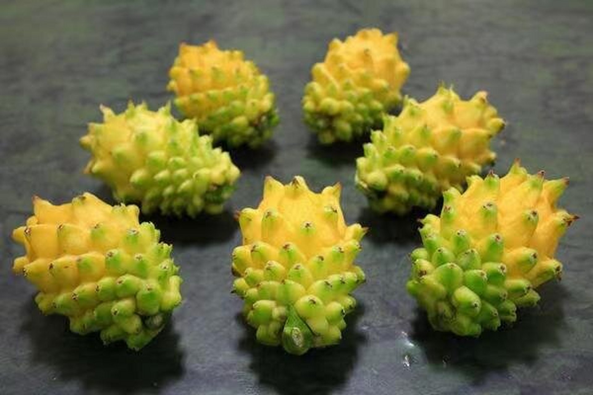 【西语阅读】在海南遇见拉美:黄金火龙果 la pitahay