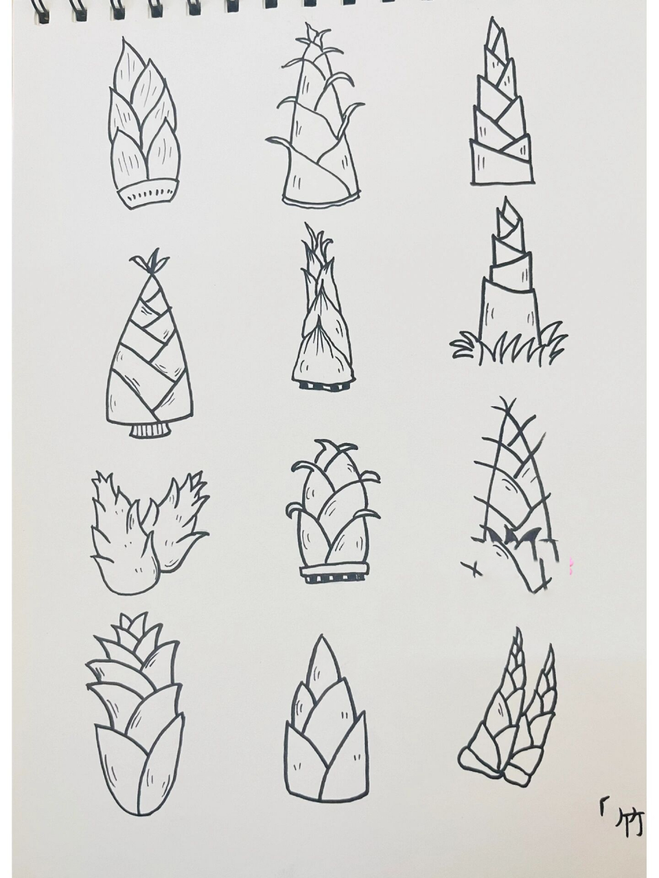 简笔画「竹笋」