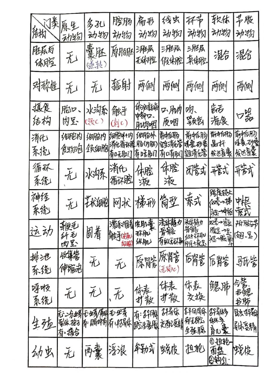 无脊椎动物检索表图片图片