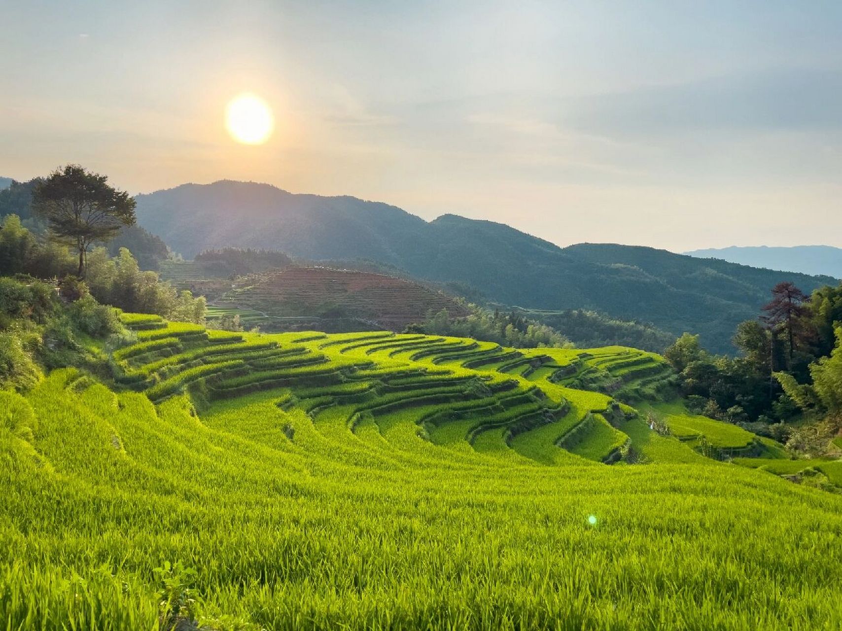 桃源梯田位于99遂川县左安镇西南,海拔1442米的轿子顶山下72,景区