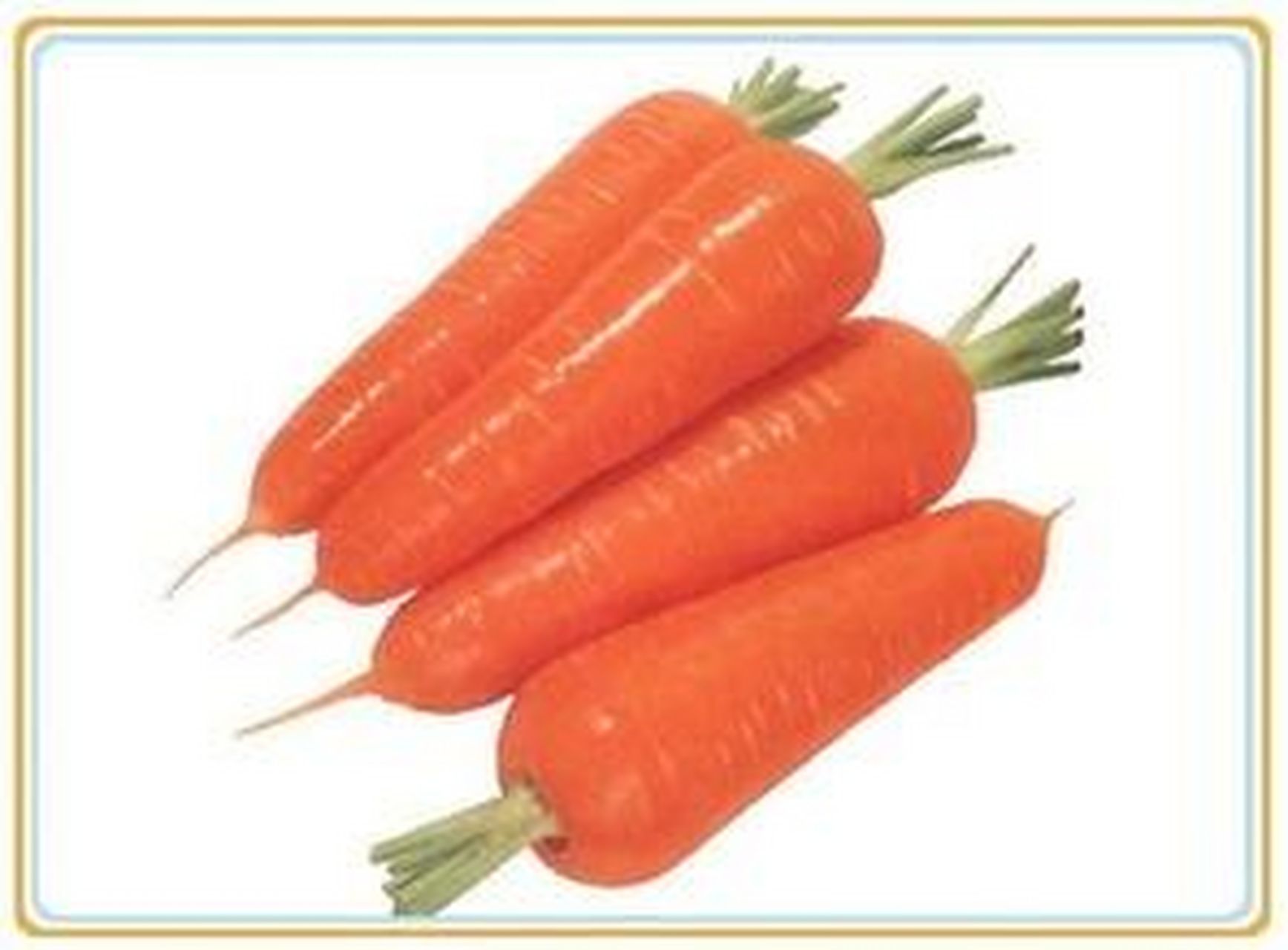 红萝卜的功效和营养价值 红萝卜是我们日常中一种常见的食物,有比较好