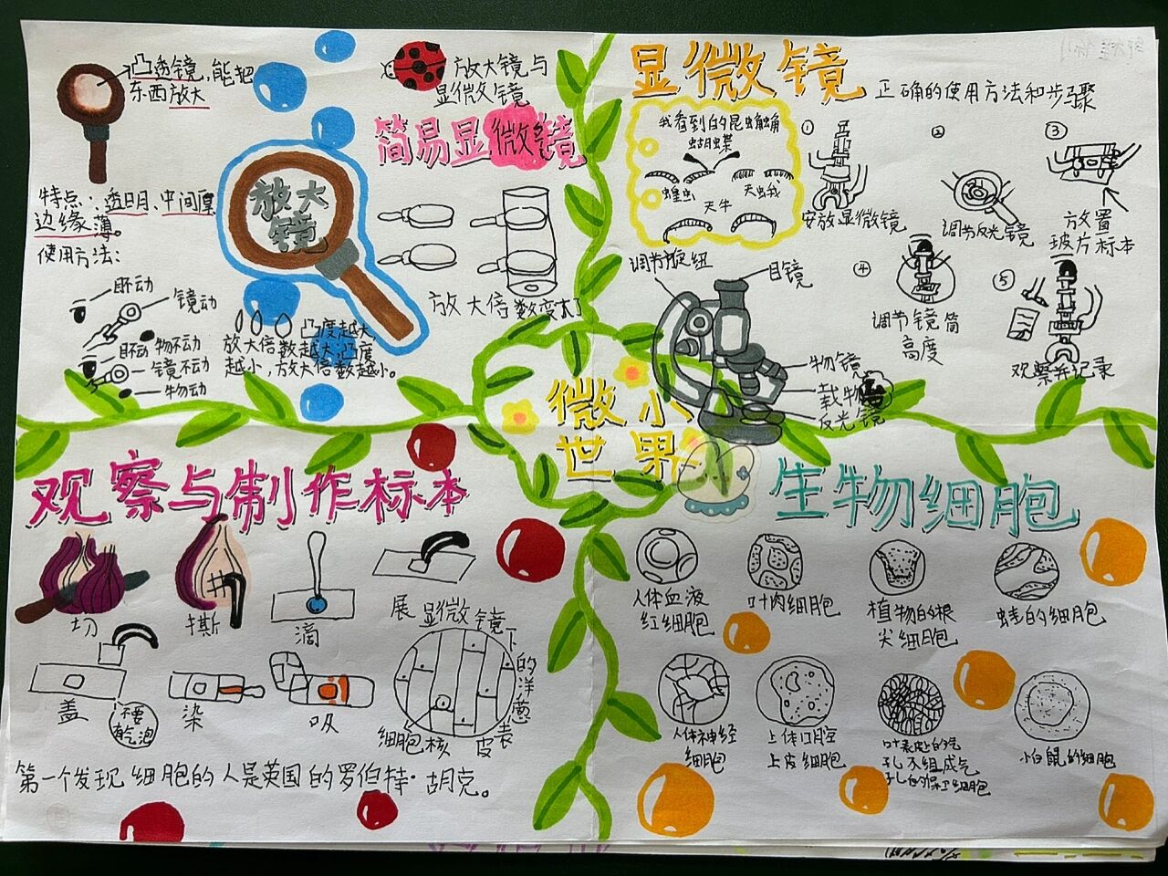 六上《微小世界》思维导图