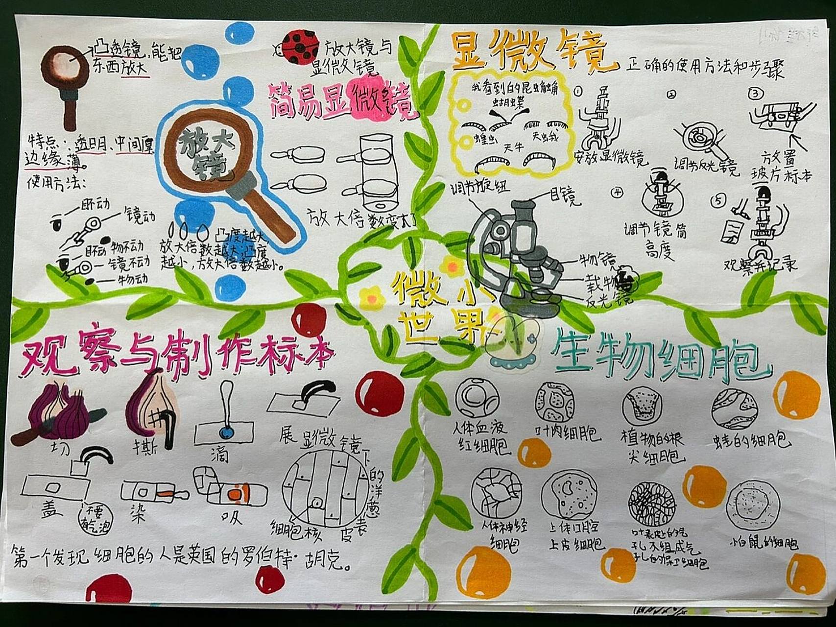 六上《微小世界》思维导图 六年级的学生比预想的要厉害91思维导图