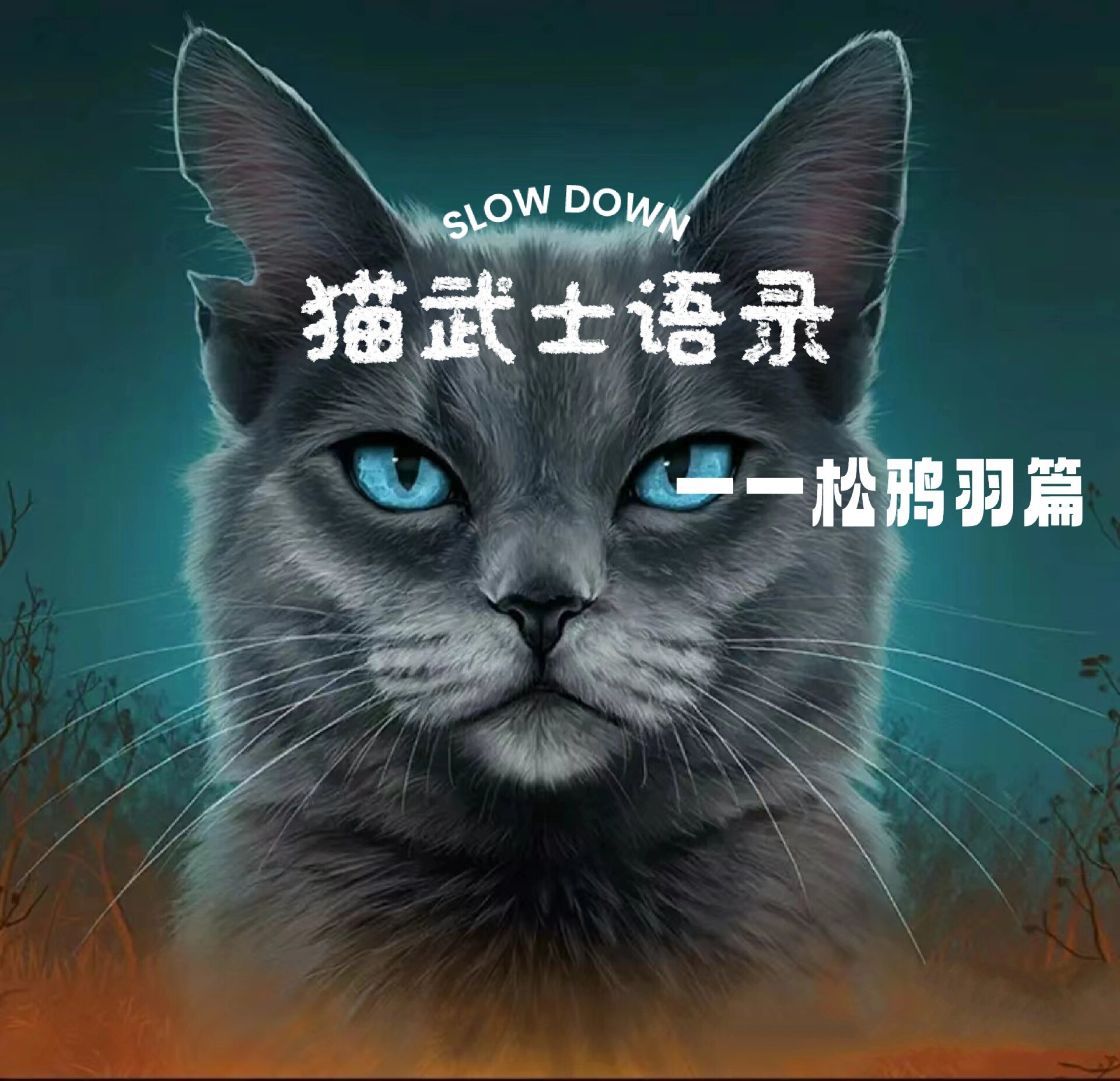 猫武士半月图片