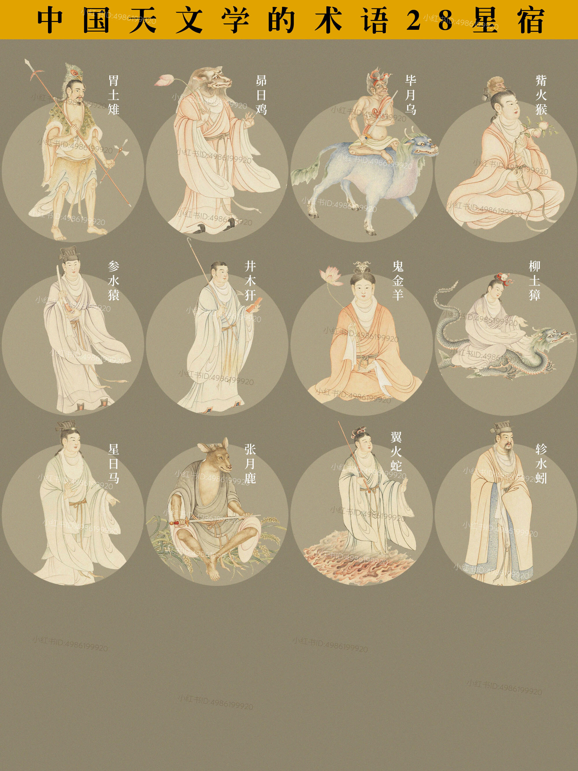28星宿图片与名字