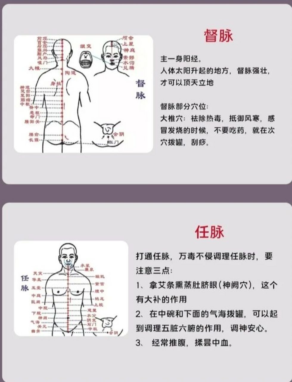 任脉和督脉 任督二脉