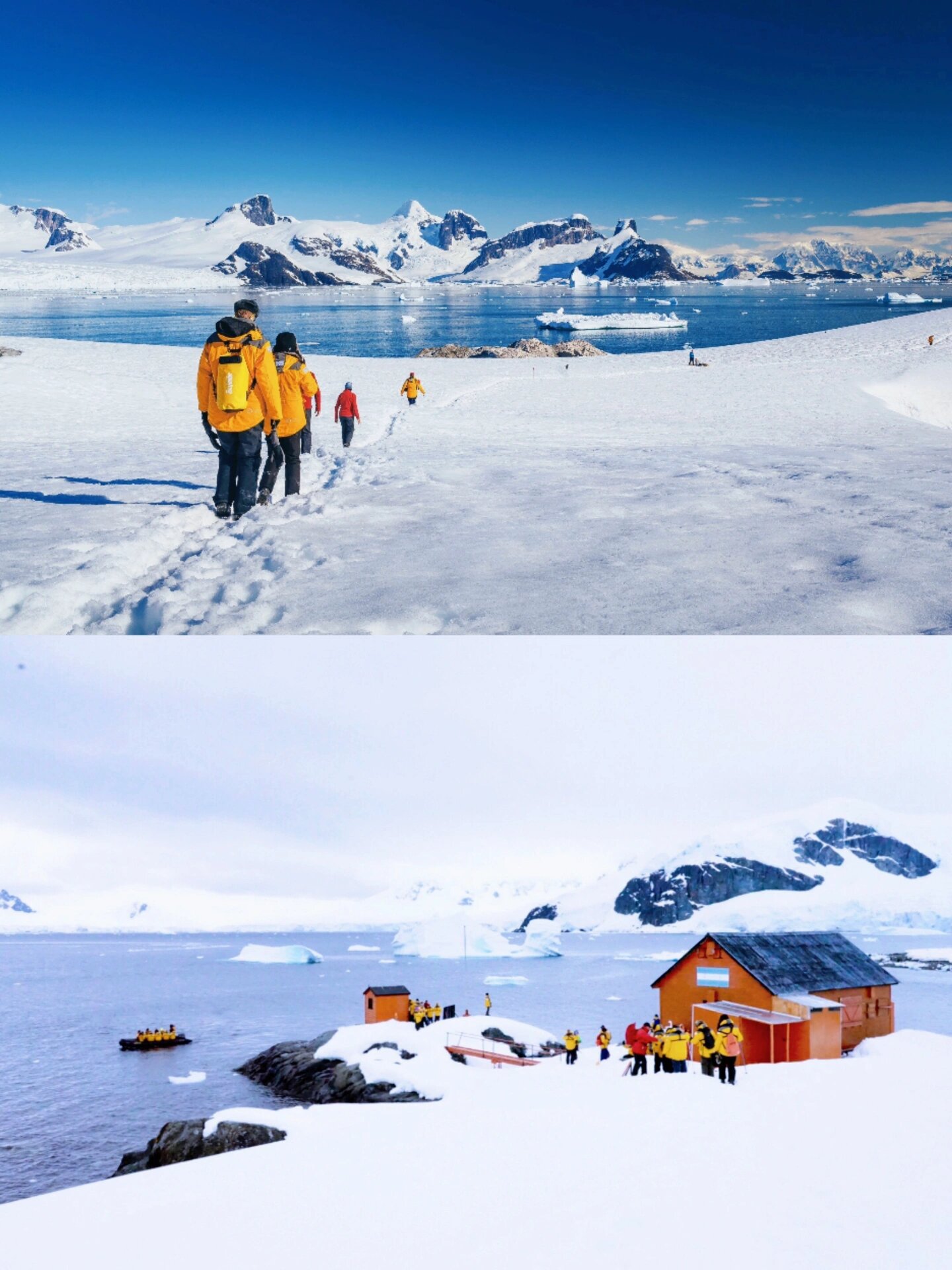 南极五岛 重走沙克尔顿探险之路 南极5岛,发烧友的进阶南极之行.