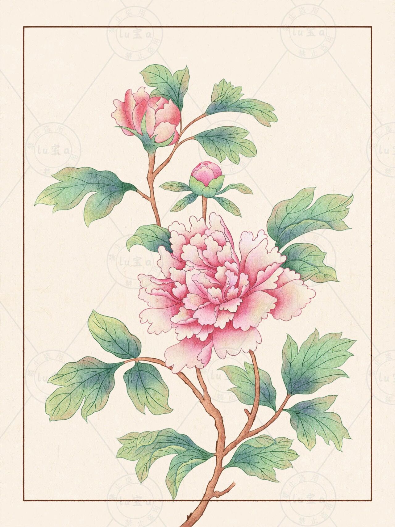 42期 牡丹插画国潮花卉古风植物插画线稿