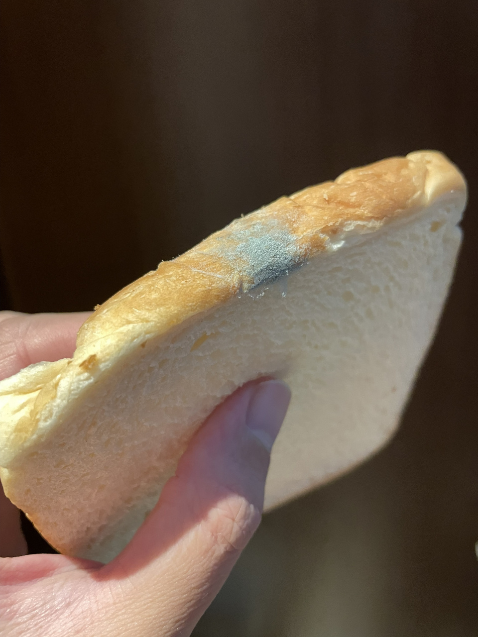 孕晚期不小心吃了发霉的面包!