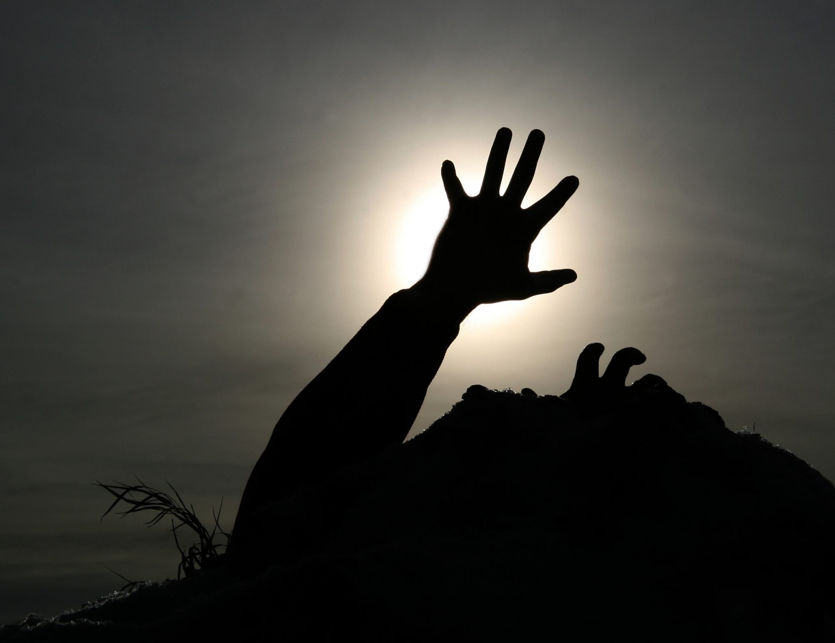 而是阴暗,不能见于人,不能见于光的私隅