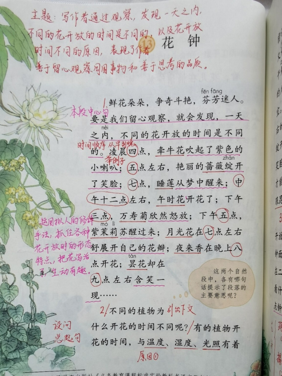 花钟第一自然段图片