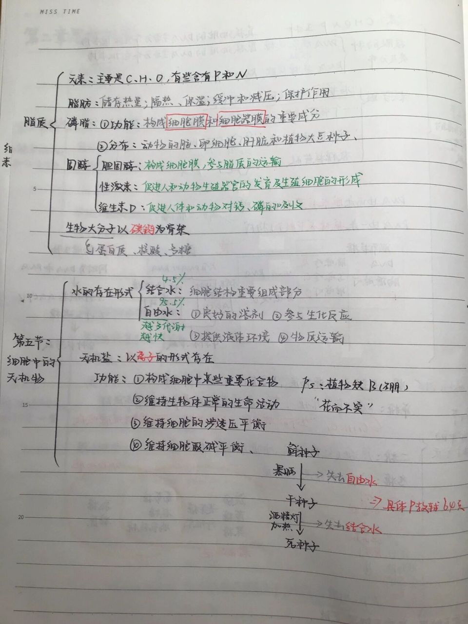 生物必修一第二章思维导图0707 写作业719915719915