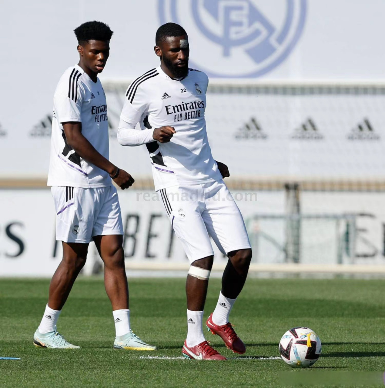 华尼托精神永不灭